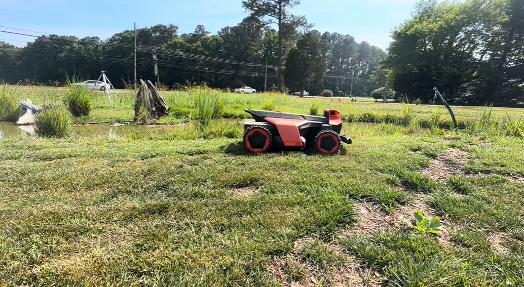 A robot mower keeping mowed lanes around a sunflower and black-eyed-susan pollinator meadow