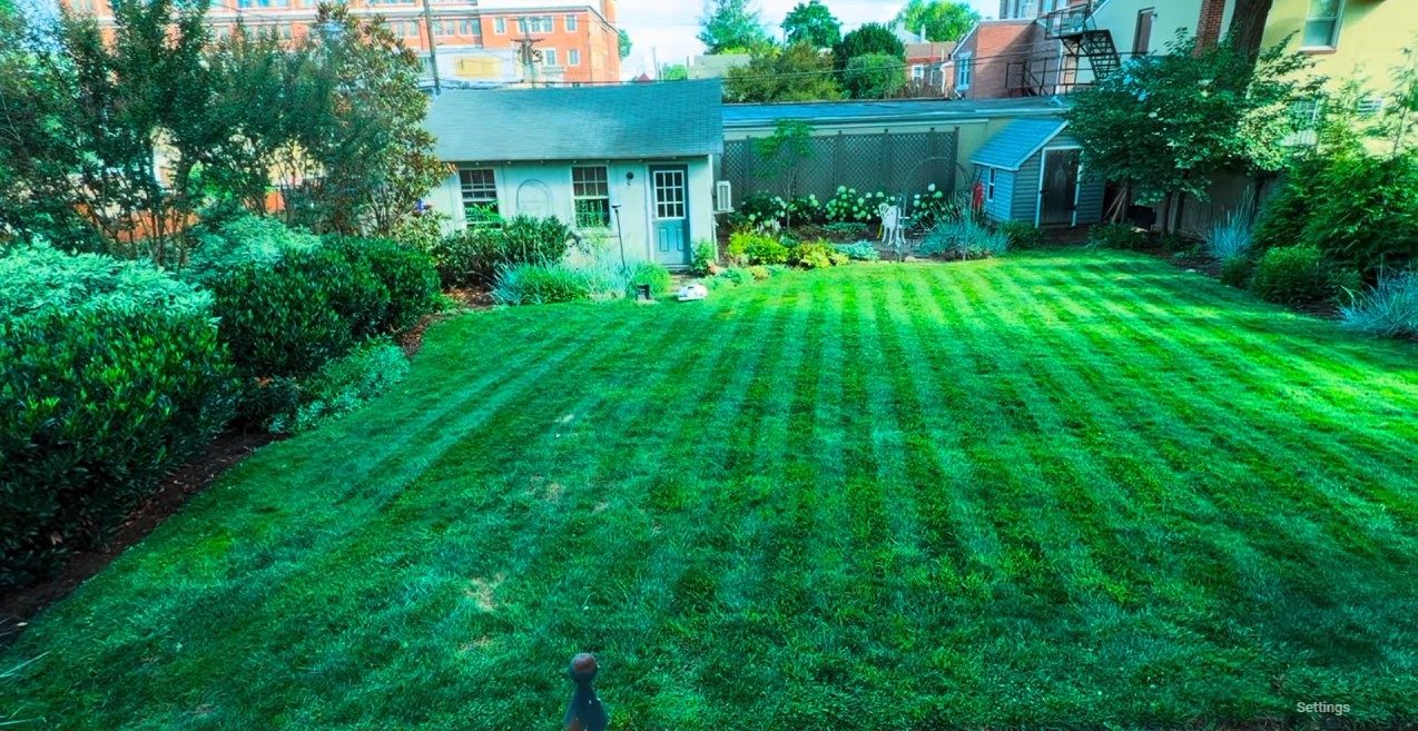 A backyard lawn with straight robot mower stripes in front of a garden shed