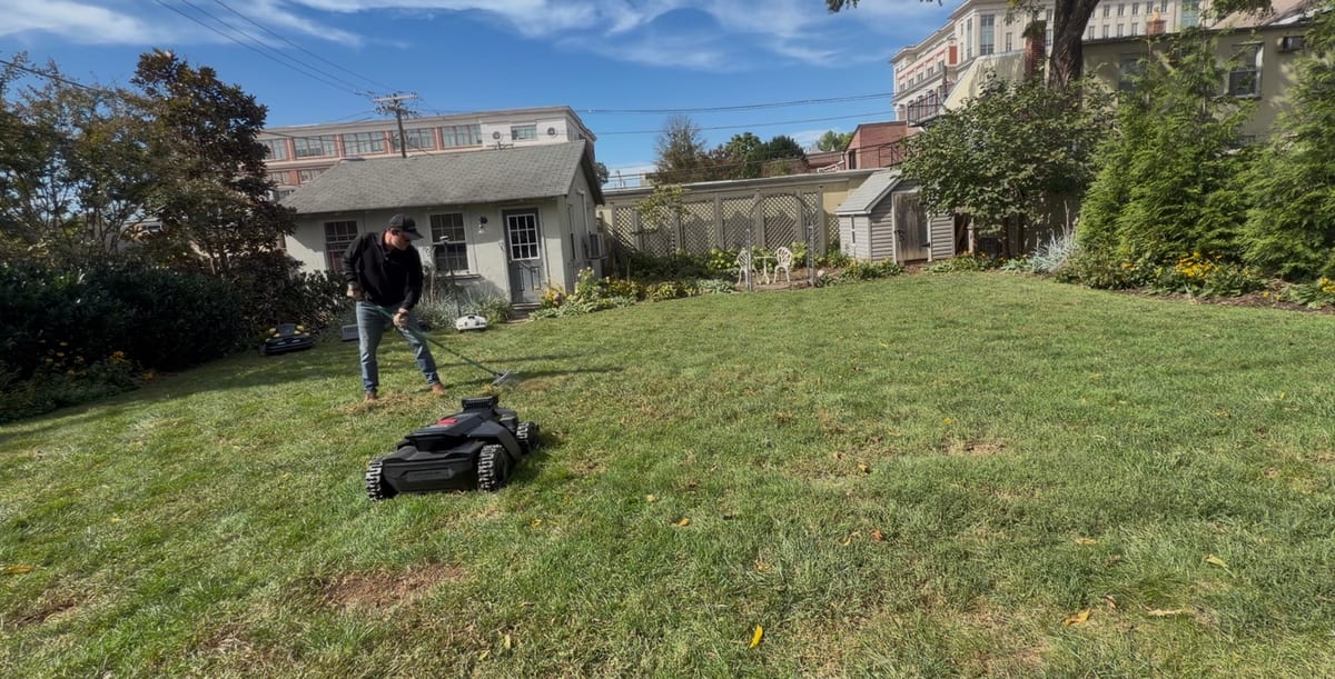 Raking a backyard lawn with a tracked robot mower waiting