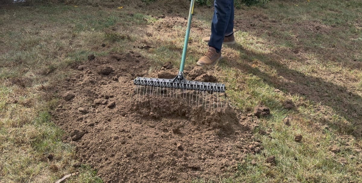 A rake spreading compost over a freshly seeded patch