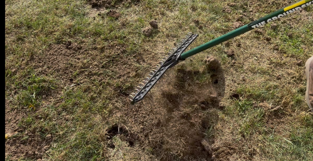 A steel rake tearing up the packed soil of a bare patch, dead grass and clods coming loose