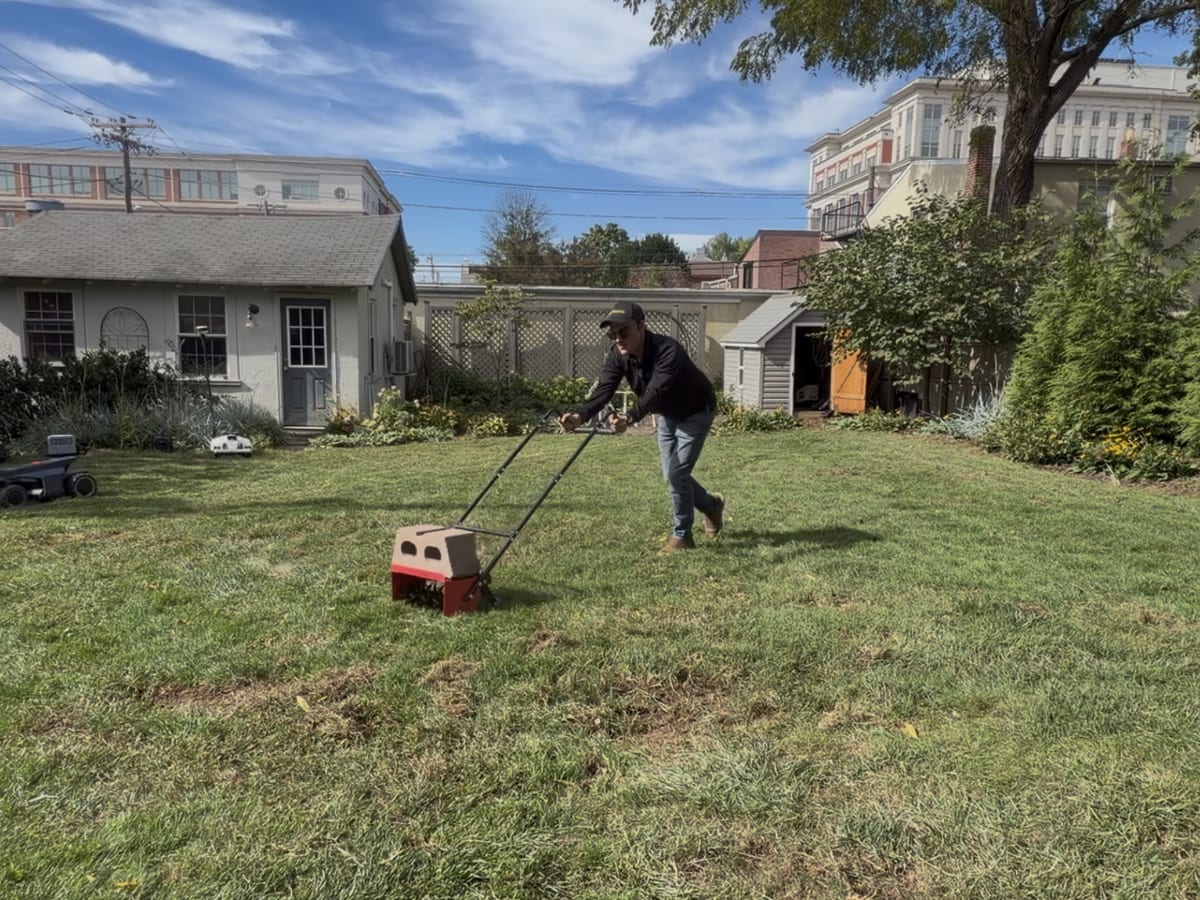 an evenly washed-out, yellow-green color across the whole lawn