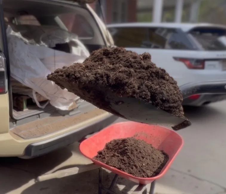 A shovel of dark, crumbly Organic Lawn Builder compost being loaded into a wheelbarrow
