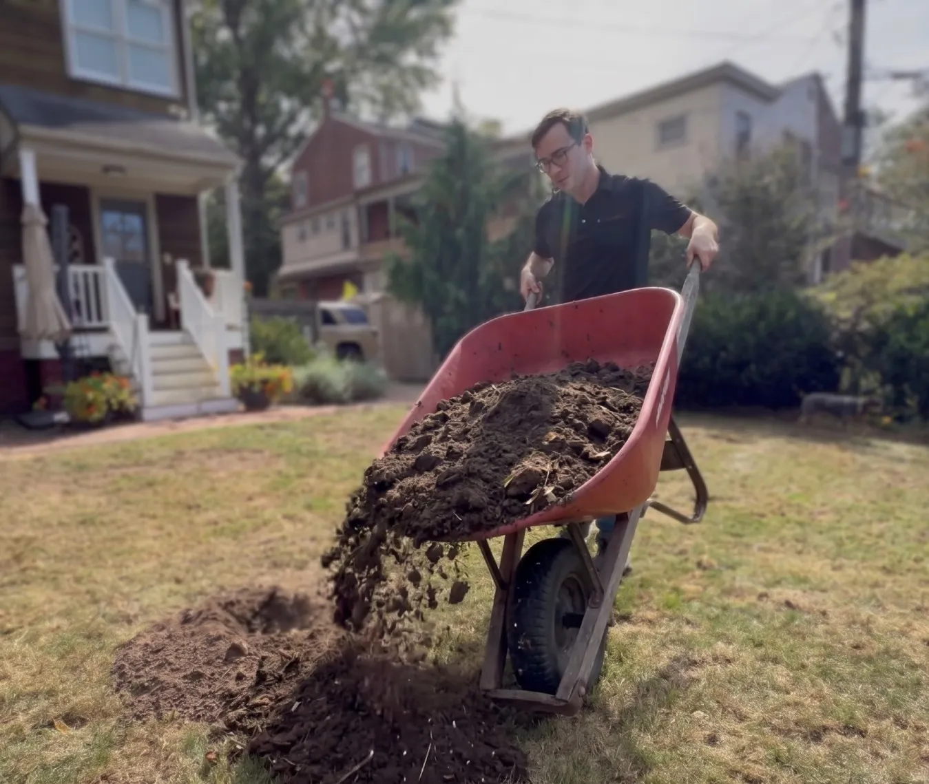 Dumping a wheelbarrow of dark compost onto a thin lawn to topdress it